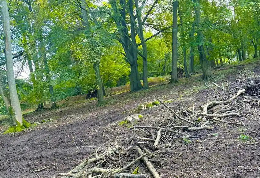 We provide land site and woodland clearance services
