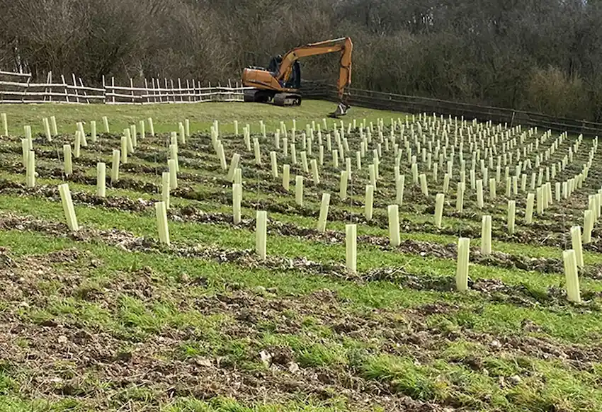 We provide vineyard preparation and management services